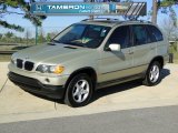 2002 Pearl Beige Metallic BMW X5 3.0i #60233180
