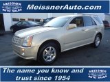 2007 Cadillac SRX 4 V6 AWD