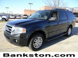 2011 Sterling Grey Metallic Ford Expedition XLT #60289640
