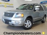 Pewter Metallic Ford Expedition in 2006