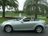 2006 Iridium Silver Metallic Mercedes-Benz SLK 280 Roadster #543393