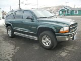 2001 Forest Green Pearl Dodge Durango SLT 4x4 #60328866