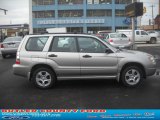 2006 Crystal Gray Metallic Subaru Forester 2.5 X #60328443