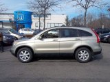 2008 Borrego Beige Metallic Honda CR-V EX-L 4WD #60379361