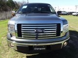 2012 Sterling Gray Metallic Ford F150 XLT SuperCab #60444974