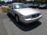 2010 Silver Birch Metallic Mercury Grand Marquis LS Ultimate Edition #60445237