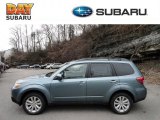 2012 Sage Green Metallic Subaru Forester 2.5 X Premium #60445094