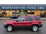 2006 Redfire Metallic Ford Escape XLT V6 4WD #60506653