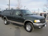 2003 Estate Green Metallic Ford F150 XLT SuperCab 4x4 #60561753