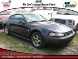 2003 True Blue Metallic Ford Mustang V6 Coupe #60562010