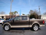 Dark Stone Metallic Ford F150 in 2007