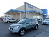 2010 Opal Sage Metallic Honda CR-V EX-L AWD #60624954