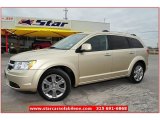 2010 White Gold Dodge Journey R/T #60656965