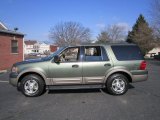 2003 Estate Green Metallic Ford Expedition Eddie Bauer 4x4 #60696752