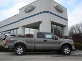 2012 Sterling Gray Metallic Ford F150 XLT SuperCab 4x4 #60696113