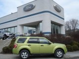 2012 Lime Squeeze Metallic Ford Escape XLT 4WD #60696108