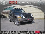 2005 Dark Khaki Pearl Jeep Liberty Renegade 4x4 #60696640