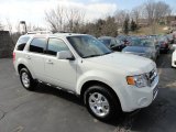 2012 White Suede Ford Escape Limited 4WD #60752901