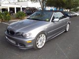 2004 BMW 3 Series Silver Grey Metallic
