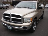 2004 Light Almond Pearl Dodge Ram 1500 SLT Quad Cab #60752715