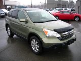 2008 Green Tea Metallic Honda CR-V EX-L 4WD #60752660