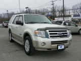 2008 Ford Expedition Eddie Bauer 4x4