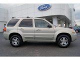 2005 Gold Ash Metallic Ford Escape Limited 4WD #60752939