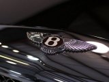 2005 Bentley Arnage R Mulliner Marks and Logos