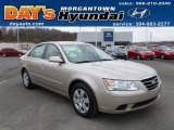 2009 Hyundai Sonata GLS