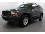 2003 Graphite Metallic Dodge Durango SXT #60804751