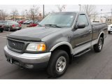 2002 Ford F150 XLT Regular Cab 4x4 Front 3/4 View