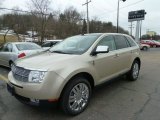 2010 Gold Leaf Metallic Lincoln MKX AWD #60907370