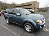 2012 Steel Blue Metallic Ford Escape Limited 4WD #60907359