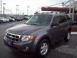 2009 Sterling Grey Metallic Ford Escape XLT 4WD #60907458