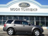 2012 Sterling Gray Metallic Ford Escape XLT V6 4WD #60934595