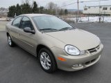 2002 Dodge Neon SXT Front 3/4 View