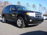 2008 Black Ford Escape XLT #60973210