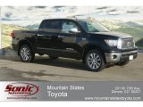 2012 Black Toyota Tundra Platinum CrewMax 4x4 #60973142