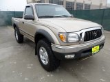 2004 Mystic Gold Metallic Toyota Tacoma Regular Cab 4x4 #60973431