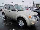 2010 Gold Leaf Metallic Ford Escape XLT #61027061