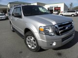 2010 Ingot Silver Metallic Ford Expedition XLT #61026954