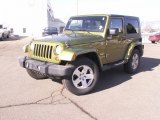 2007 Rescue Green Metallic Jeep Wrangler Sahara 4x4 #61074913