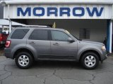 2009 Sterling Grey Metallic Ford Escape Limited V6 4WD #61074617