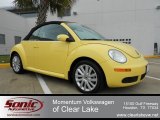 2008 Volkswagen New Beetle SE Convertible