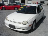 1999 Bright White Dodge Neon Sport Sedan #6098898