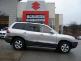 2006 Pewter Hyundai Santa Fe GLS 4WD #61074716