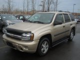 2005 Sandstone Metallic Chevrolet TrailBlazer LS 4x4 #61113208