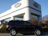 2012 Ebony Black Ford Escape XLT 4WD #61112590