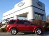2012 Toreador Red Metallic Ford Escape XLT #61112587