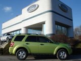 2012 Lime Squeeze Metallic Ford Escape XLT 4WD #61112582